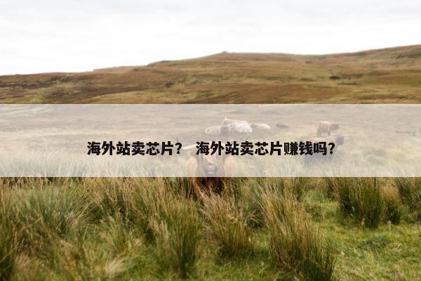 海外站卖芯片？ 海外站卖芯片赚钱吗？