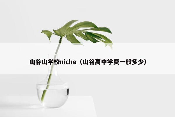 山谷山学校niche（山谷高中学费一般多少）
