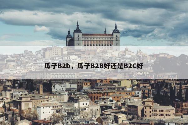 瓜子B2b，瓜子B2B好还是B2C好