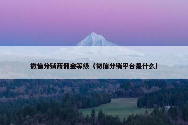微信分销商佣金等级（微信分销平台是什么）