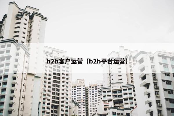 b2b客户运营（b2b平台运营）