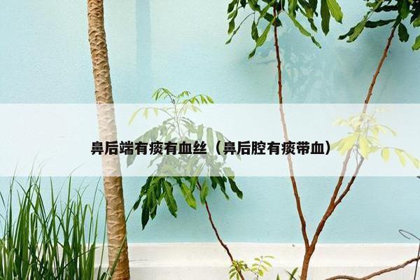 鼻后端有痰有血丝（鼻后腔有痰带血）