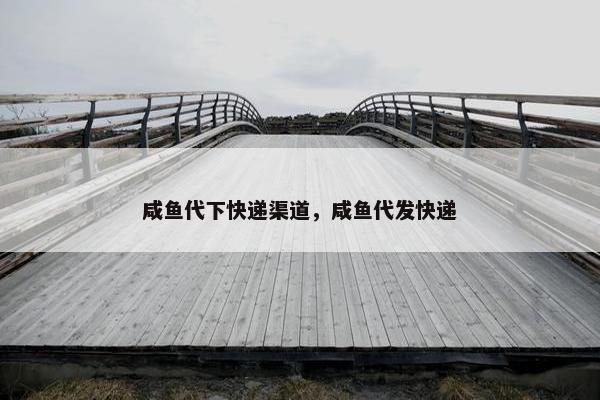 咸鱼代下快递渠道，咸鱼代发快递