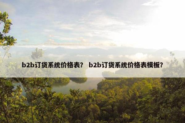 b2b订货系统价格表？ b2b订货系统价格表模板？