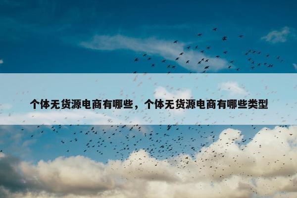 个体无货源电商有哪些，个体无货源电商有哪些类型