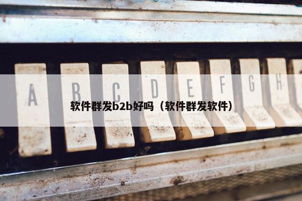 软件群发b2b好吗（软件群发软件）