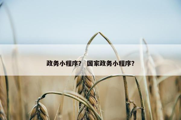 政务小程序？ 国家政务小程序？