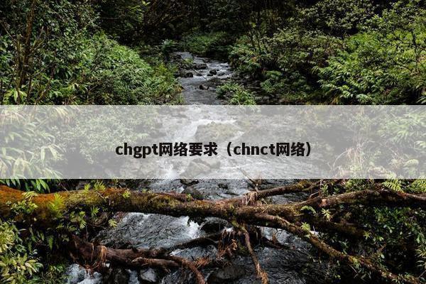 chgpt网络要求（chnct网络）