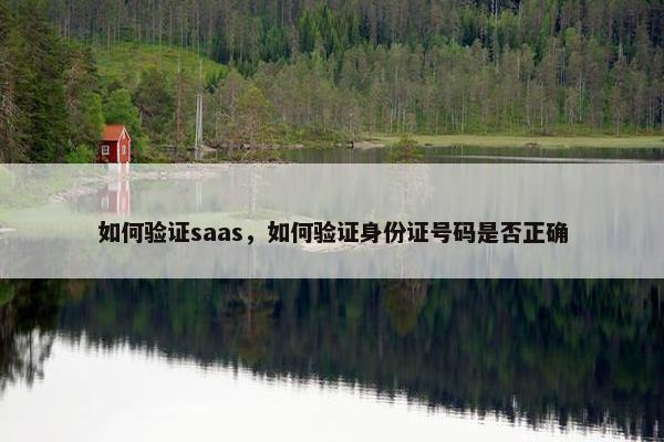 如何验证saas，如何验证身份证号码是否正确
