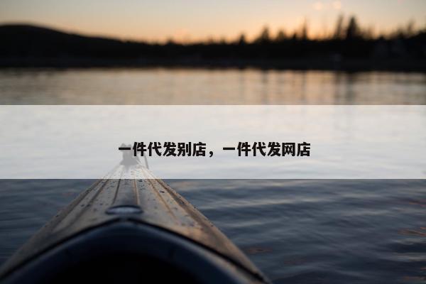 一件代发别店，一件代发网店