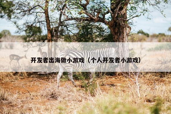 开发者出海做小游戏（个人开发者小游戏）