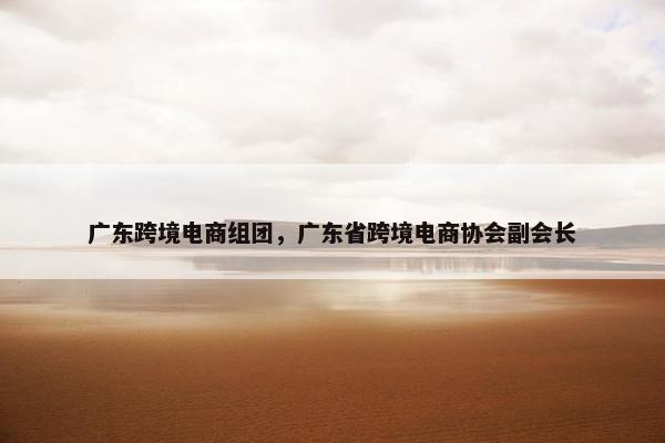 广东跨境电商组团，广东省跨境电商协会副会长