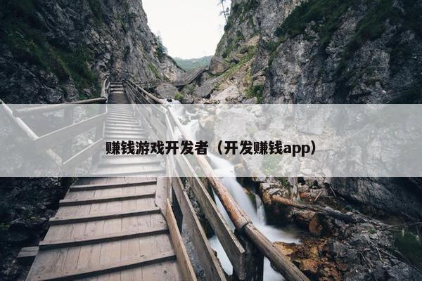 赚钱游戏开发者（开发赚钱app）