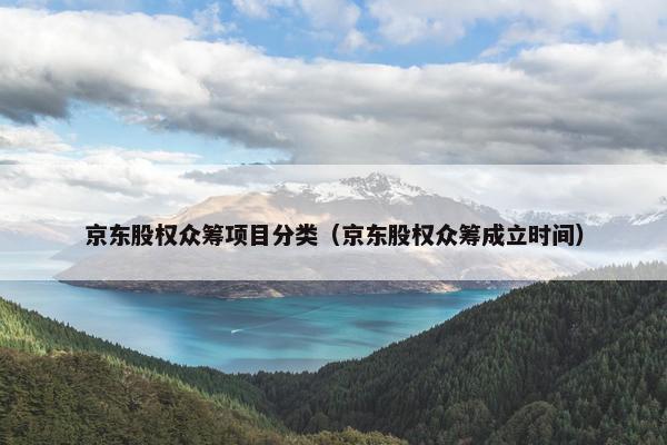 京东股权众筹项目分类（京东股权众筹成立时间）