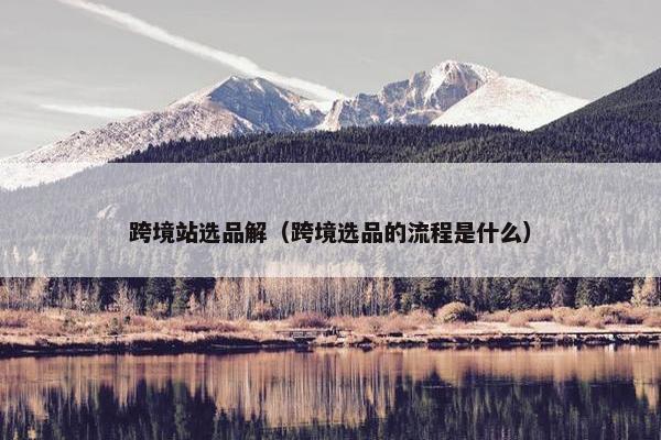 跨境站选品解（跨境选品的流程是什么）