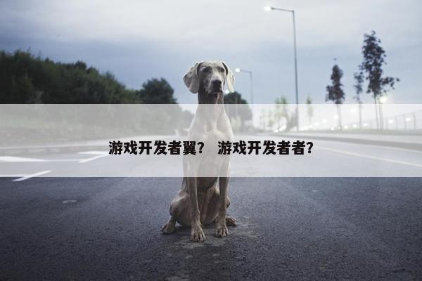 游戏开发者翼？ 游戏开发者者？