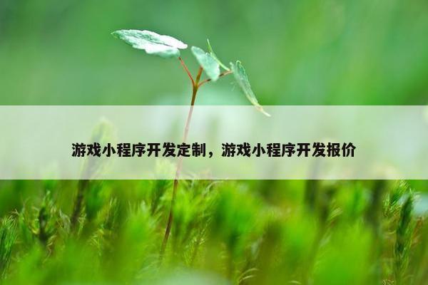 游戏小程序开发定制，游戏小程序开发报价