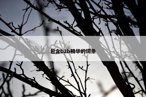 包含b2b精华的词条