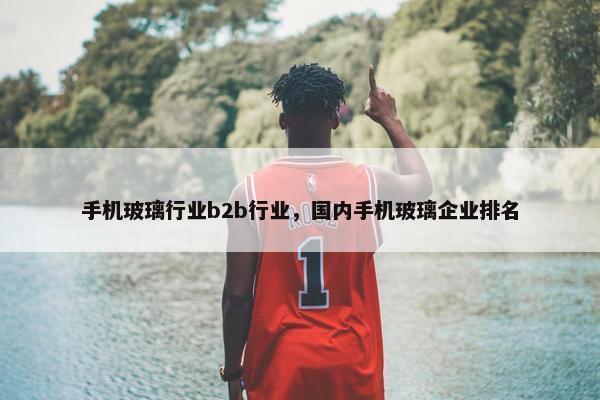 手机玻璃行业b2b行业，国内手机玻璃企业排名