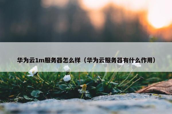 华为云1m服务器怎么样（华为云服务器有什么作用）