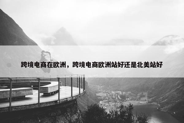 跨境电商在欧洲，跨境电商欧洲站好还是北美站好