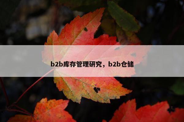 b2b库存管理研究，b2b仓储