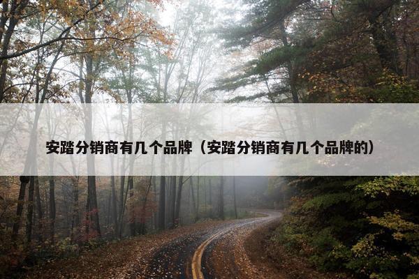 安踏分销商有几个品牌（安踏分销商有几个品牌的）