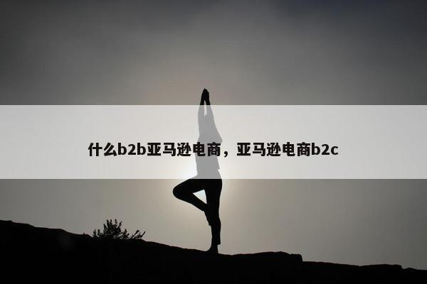 什么b2b亚马逊电商，亚马逊电商b2c