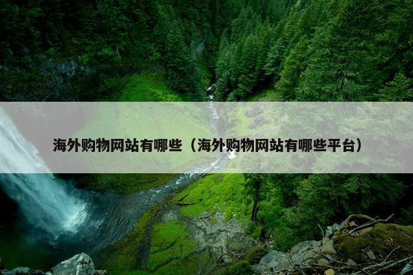 海外购物网站有哪些（海外购物网站有哪些平台）