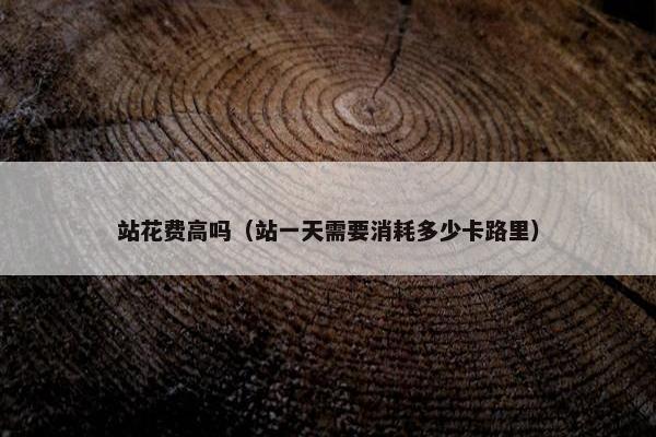 站花费高吗（站一天需要消耗多少卡路里）