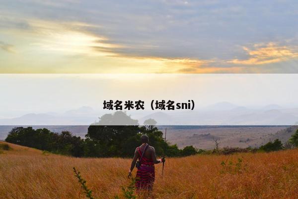 域名米农（域名sni）