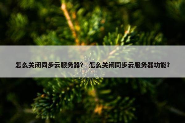 怎么关闭同步云服务器？ 怎么关闭同步云服务器功能？