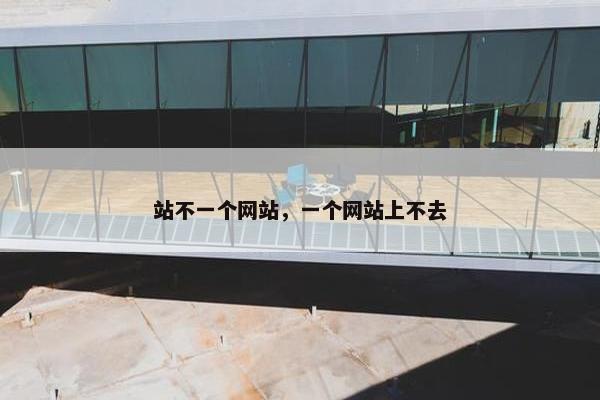 站不一个网站，一个网站上不去