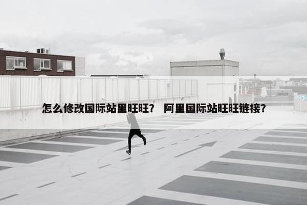 怎么修改国际站里旺旺？ 阿里国际站旺旺链接？