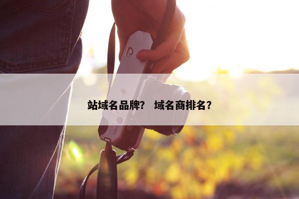 站域名品牌？ 域名商排名？