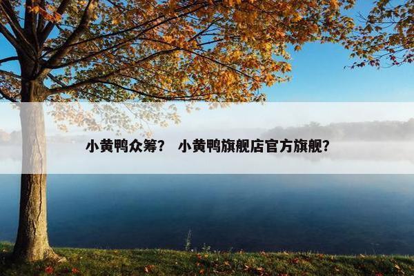 小黄鸭众筹？ 小黄鸭旗舰店官方旗舰？