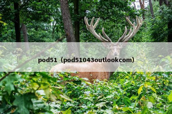 pod51（pod51043outlookcom）