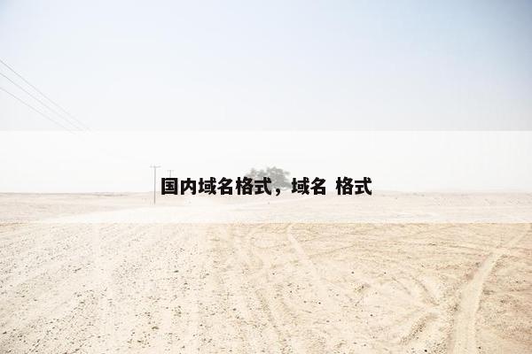 国内域名格式，域名 格式