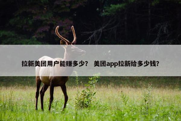 拉新美团用户能赚多少？ 美团app拉新给多少钱？