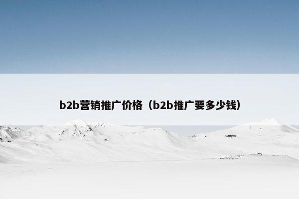 b2b营销推广价格（b2b推广要多少钱）