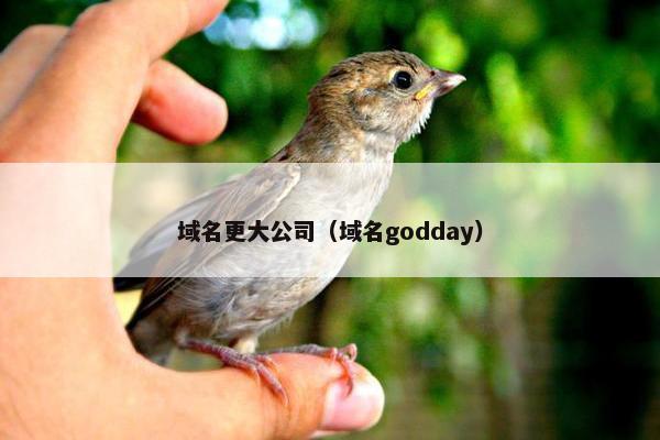 域名更大公司（域名godday）