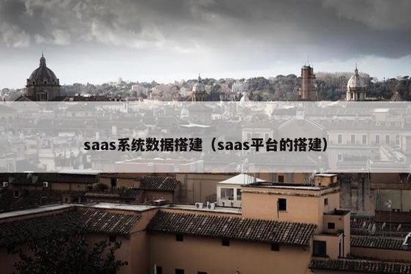 saas系统数据搭建（saas平台的搭建）