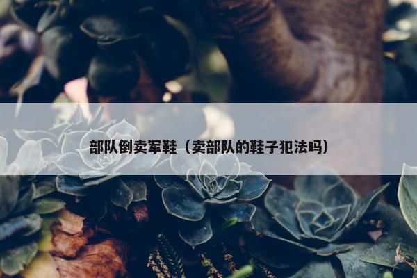 部队倒卖军鞋（卖部队的鞋子犯法吗）