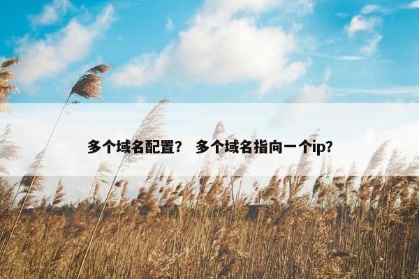 多个域名配置？ 多个域名指向一个ip？