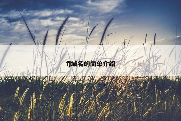 fj域名的简单介绍