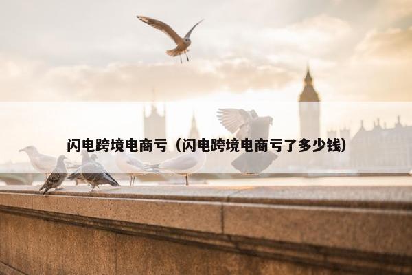 闪电跨境电商亏（闪电跨境电商亏了多少钱）