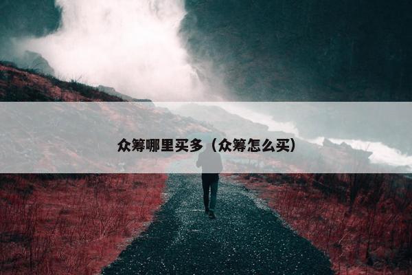 众筹哪里买多（众筹怎么买）