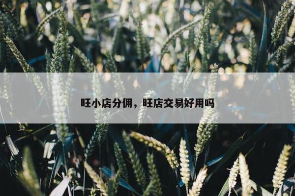 旺小店分佣，旺店交易好用吗