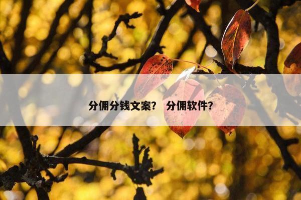 分佣分钱文案？ 分佣软件？