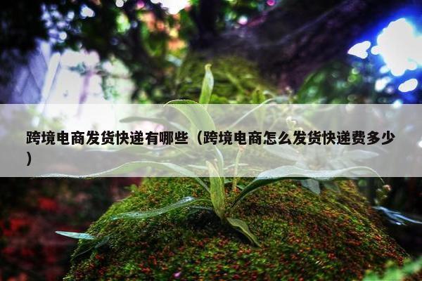 跨境电商发货快递有哪些（跨境电商怎么发货快递费多少）